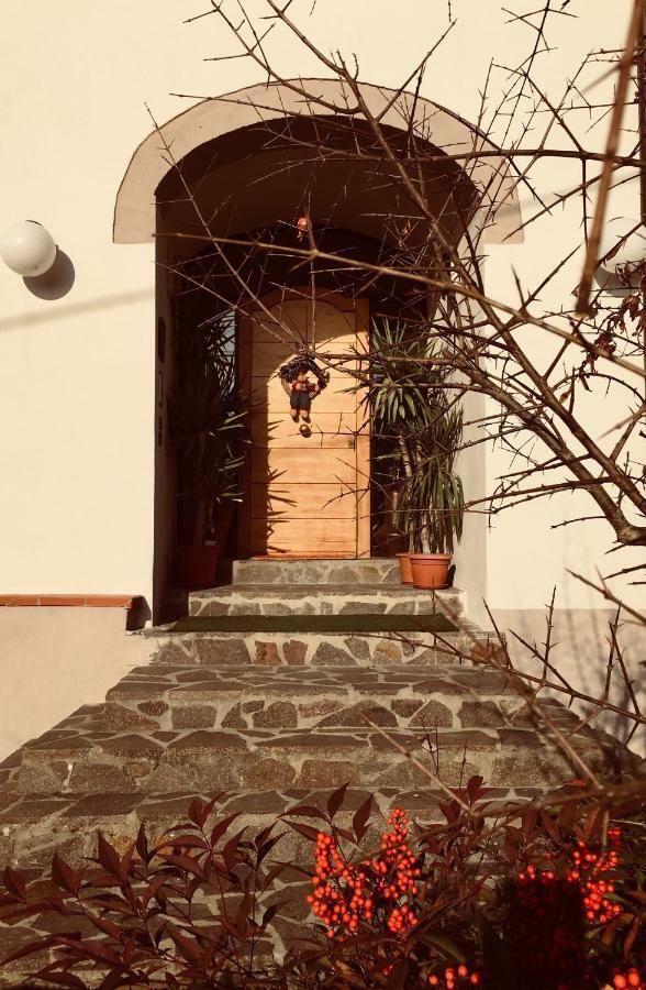 Casa Al Riccio Apartment Capolona Bagian luar foto